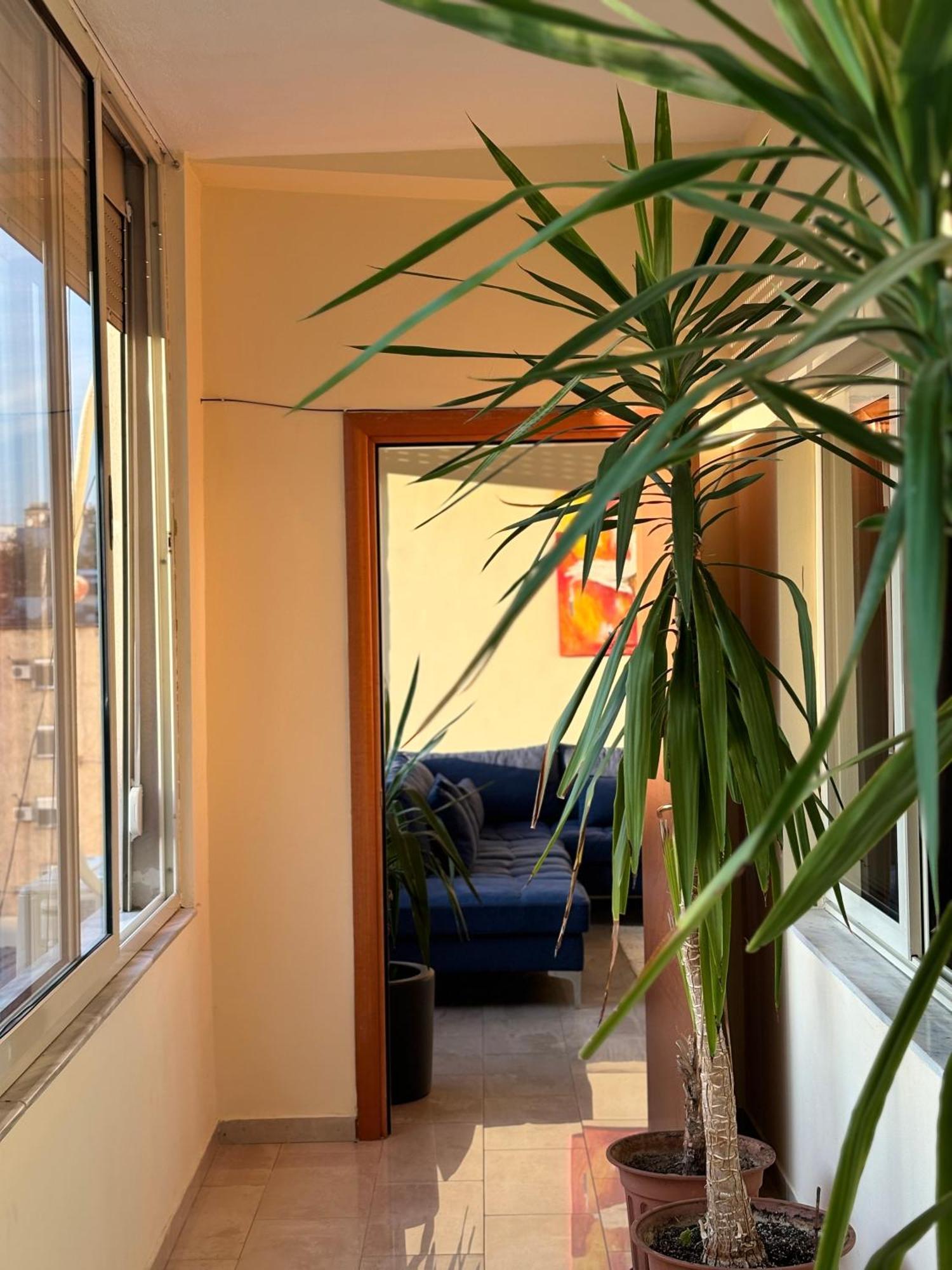 Tam 2Bdr Center Taiwan Apartment Tiranë Luaran gambar