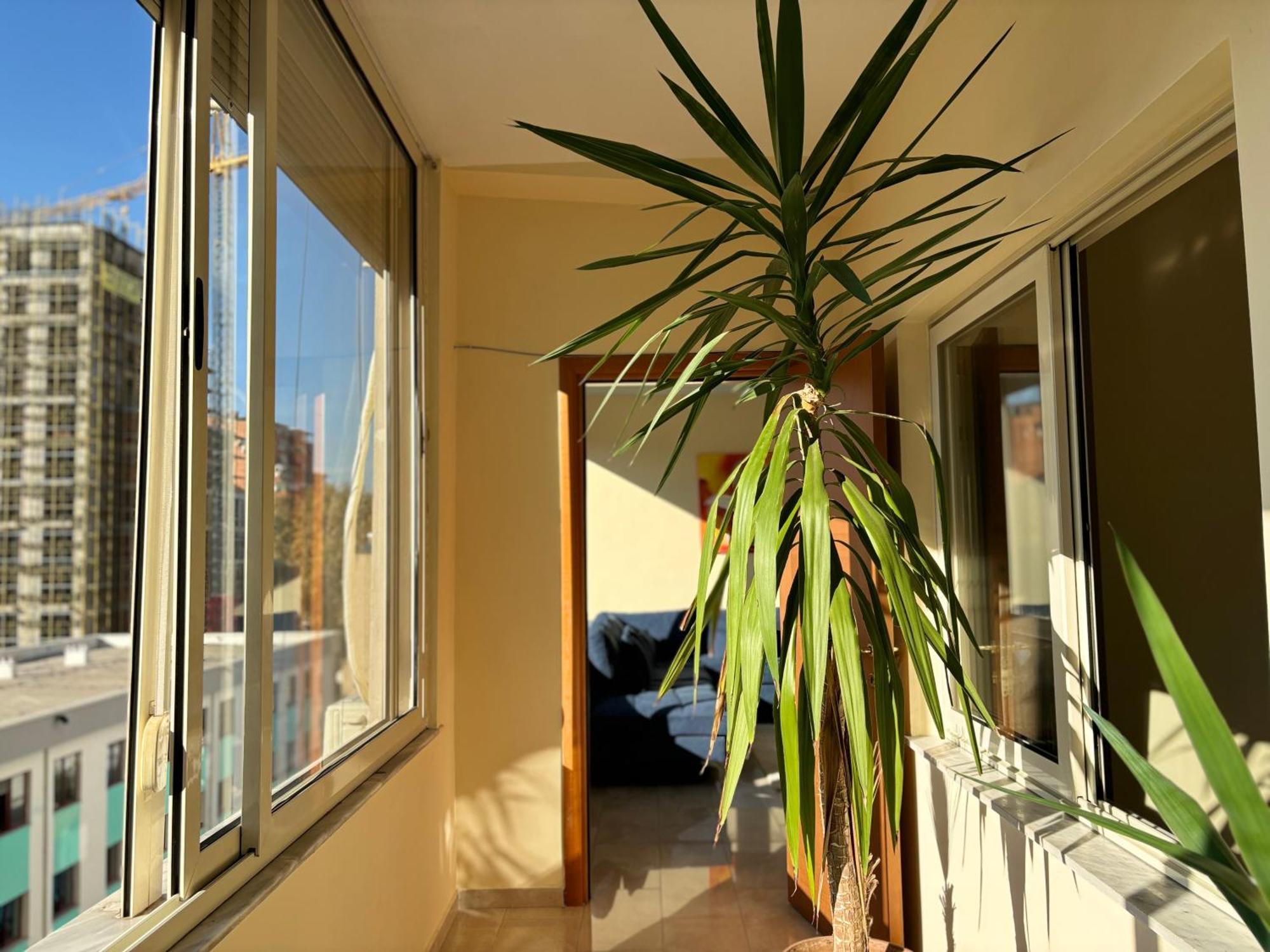 Tam 2Bdr Center Taiwan Apartment Tiranë Luaran gambar